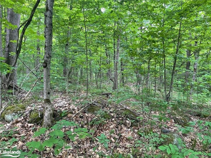 Property Photo:  23 Ahmic Lake Road  ON P0A 1A0 