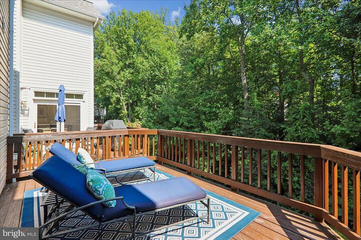 Property Photo:  1253 Wild Hawthorn Way  VA 20194 