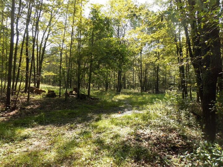 Property Photo: 000 Kerr St PA 15824