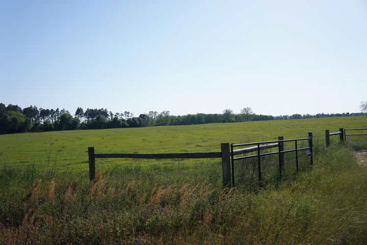 Property Photo:  7784 Hwy 393  FL 32567 