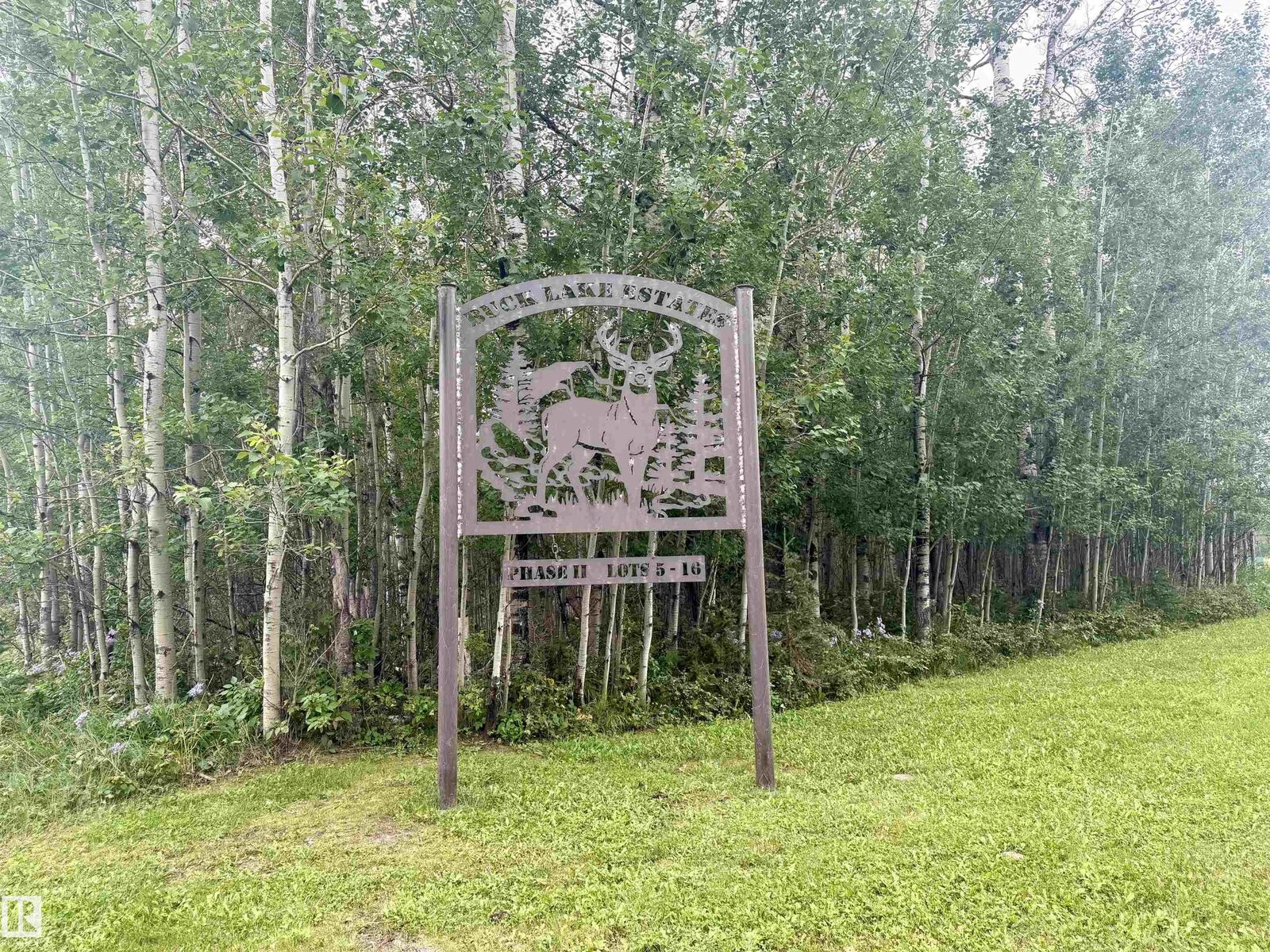 Property Photo:  Lot 7 Buck Lake Estates  AB T0C 0C0 