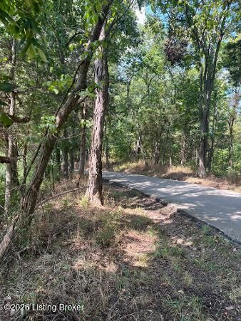 Property Photo:  Tr 13 Samples Ln  KY 40076 
