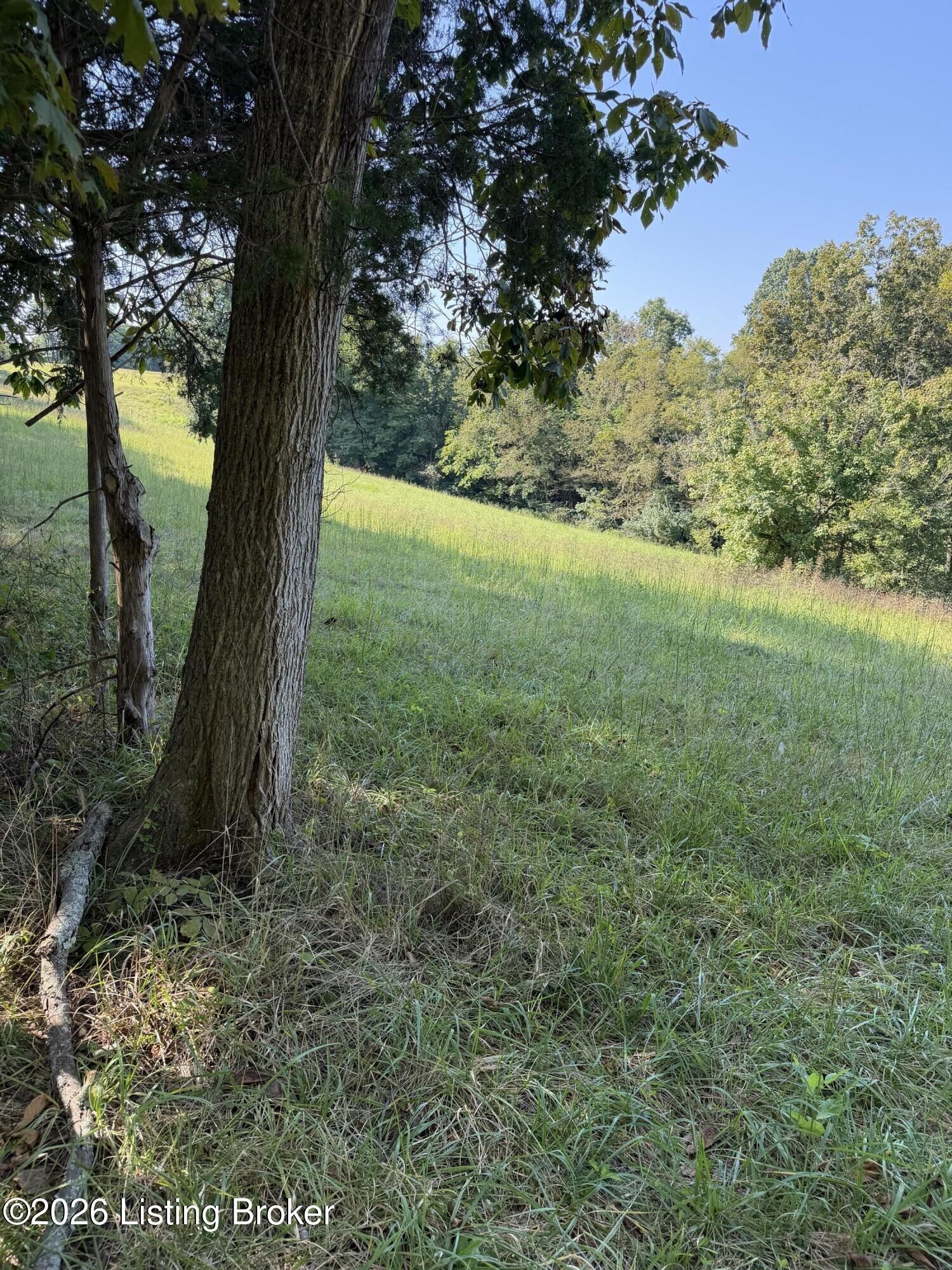 Property Photo:  Tr 12 Samples Ln  KY 40076 