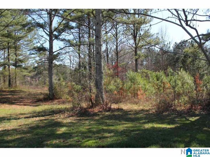 Property Photo:  Lot 68 Montcrest Drive 68  AL 35057 