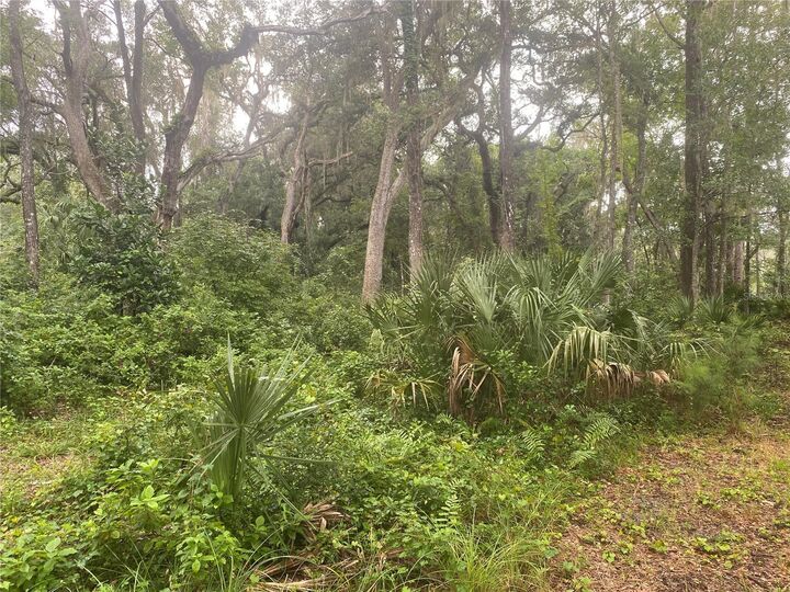 Property Photo:  2851 SE 24th Place  FL 32641 