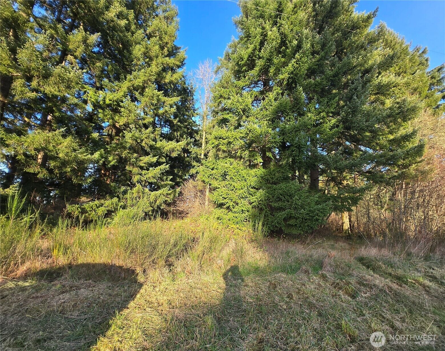 Property Photo: 0 Clinton Road WA 98532