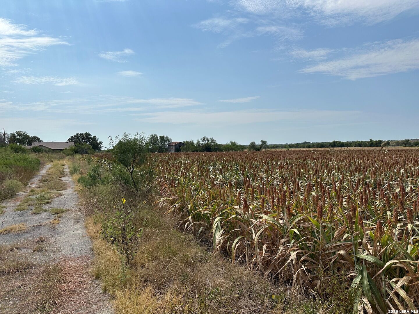 Property Photo: 3640 Freudenburg Rd TX 78109
