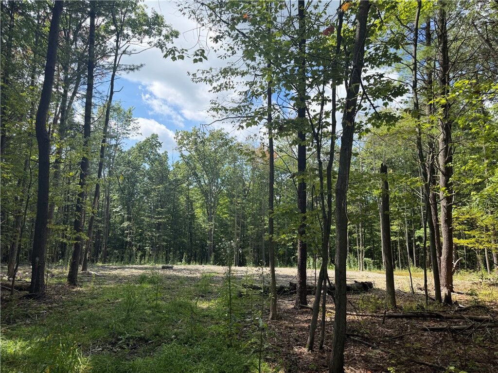 Property Photo: 000/Lot 6 Prospect Ridge NY 14814