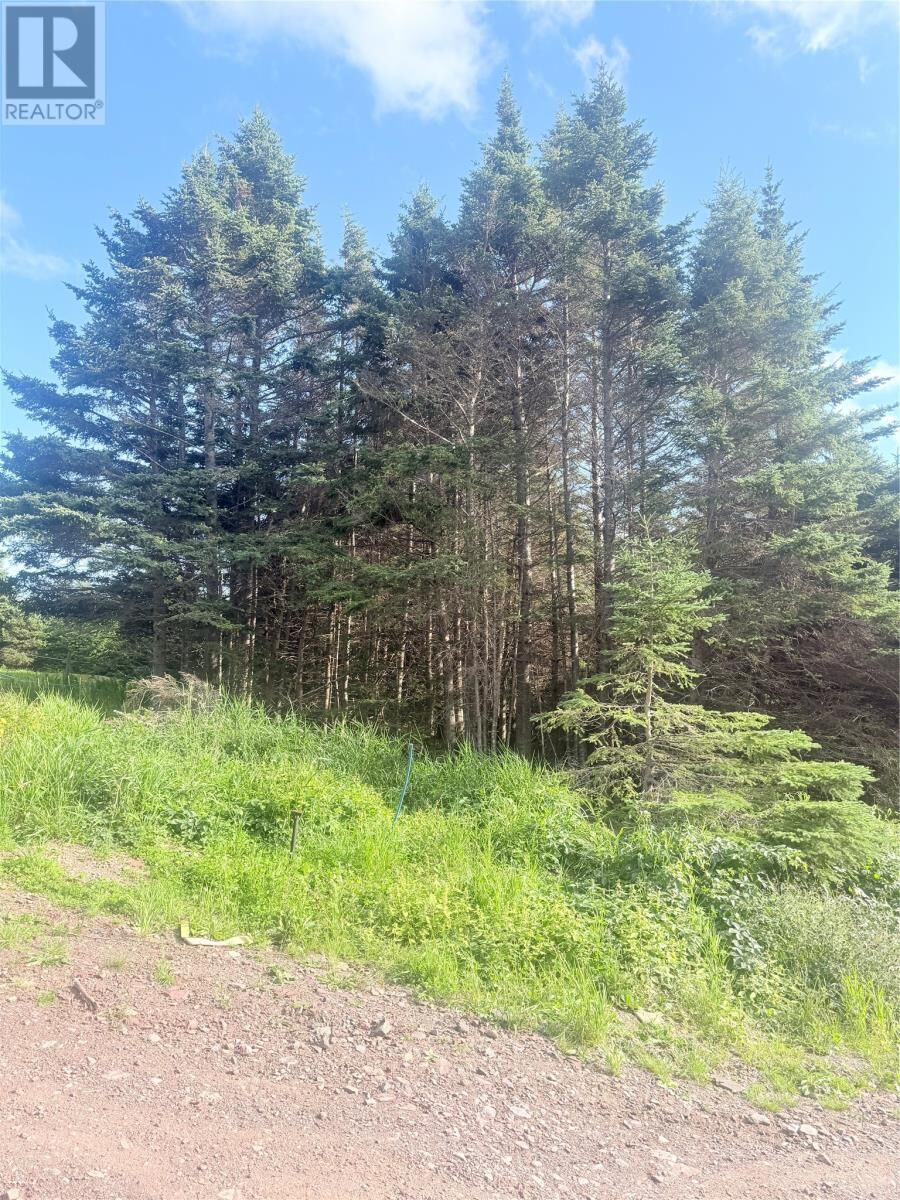 Property Photo:  6A Big Pond Access Road  NL A0E 1E0 