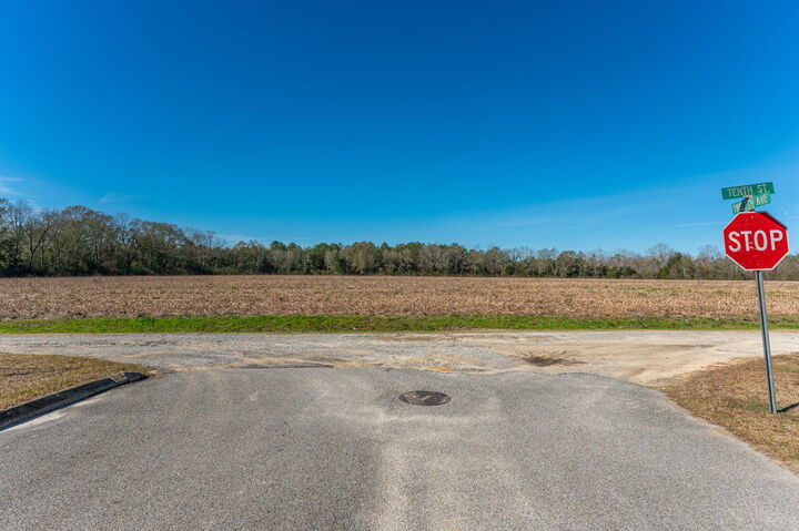 Property Photo:  56 Lots 10th Street  AL 36442 