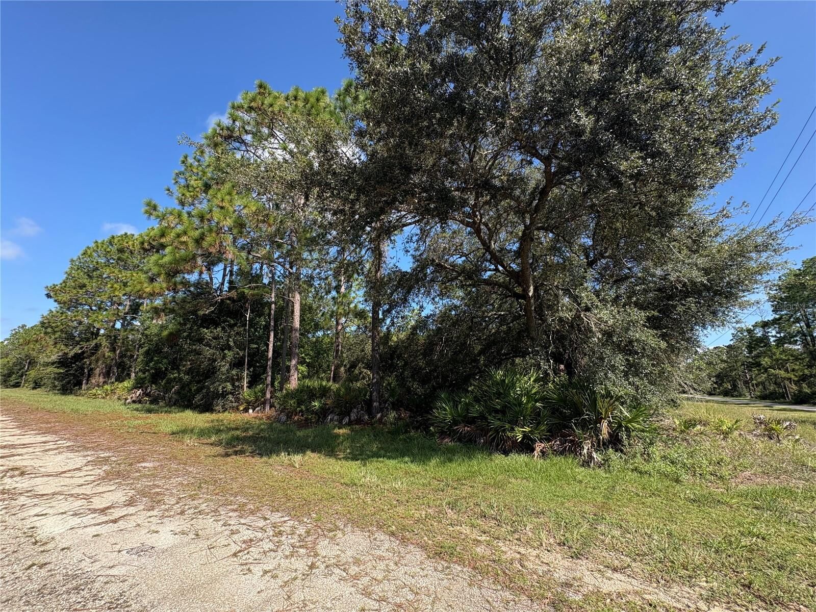 Property Photo: 0 Alba FL 33855