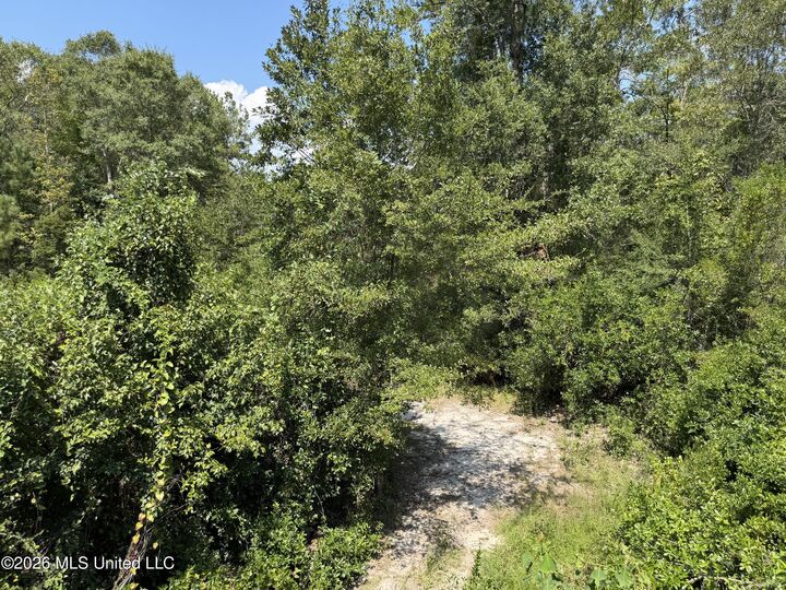 Property Photo:  3.7 Acres Beesley Road  MS 39452 