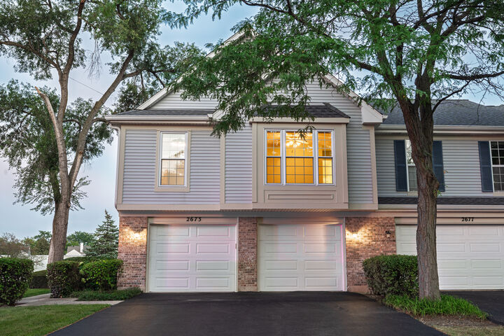 Property Photo:  2673 S Embers Lane  IL 60005 