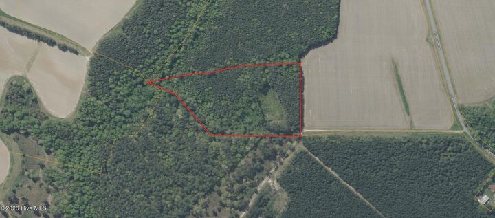 Property Photo: 141 Tall Cotton Road NC 27855