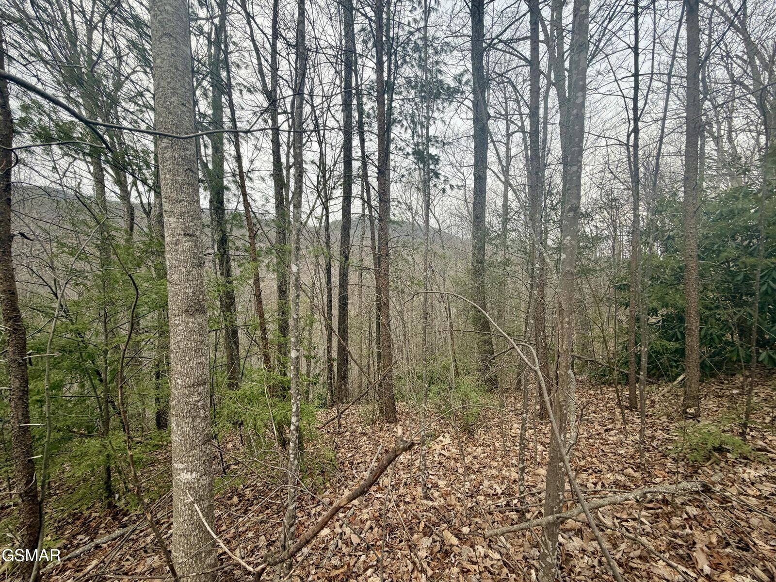 Property Photo: Lot 6 Thissa Way TN 37738