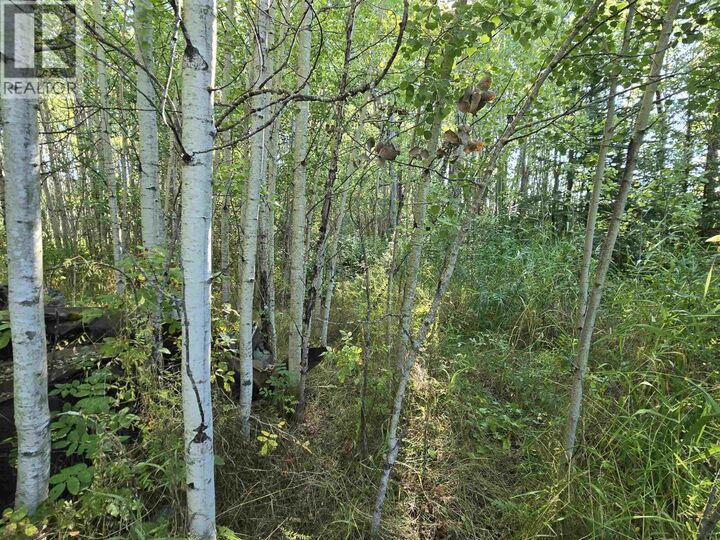 Property Photo:  3497 Jeck Road  BC V0J 2E0 