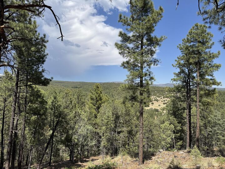 Property Photo: 21 Los Nidos Lane NM 87552