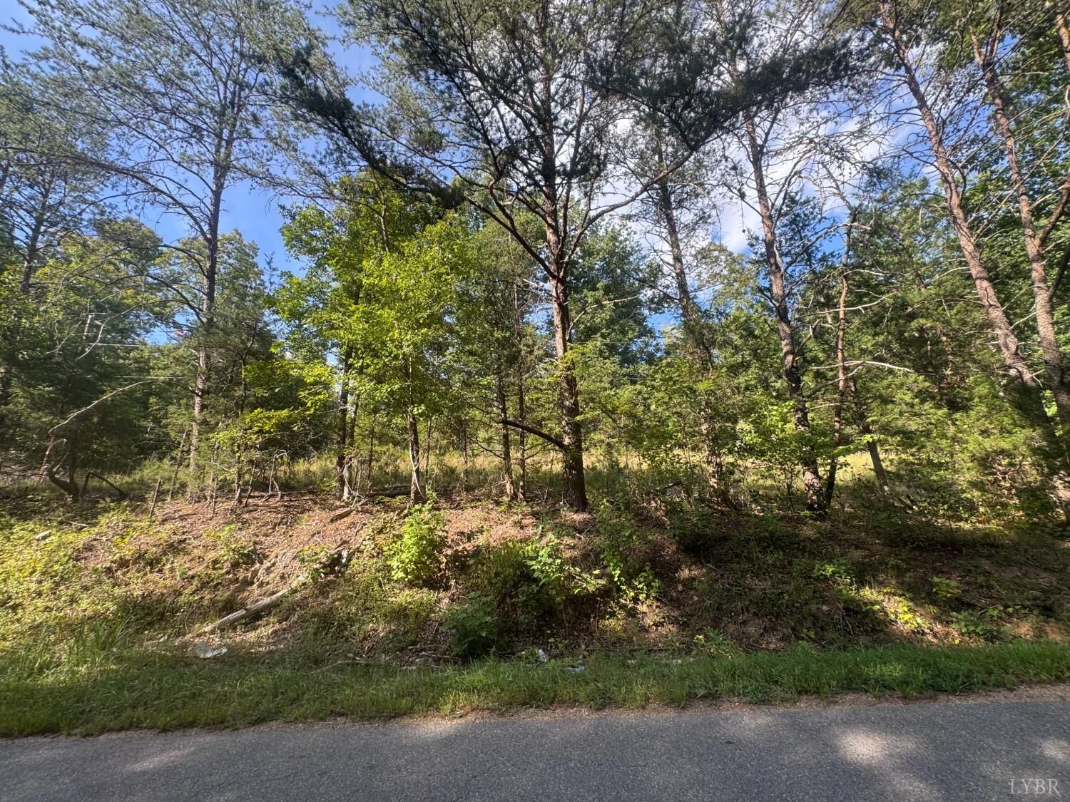 Property Photo: 1377 Riverville Road VA 24553
