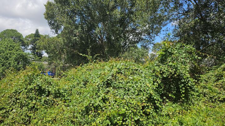 Property Photo:  1785 SW Day Street  FL 34953 