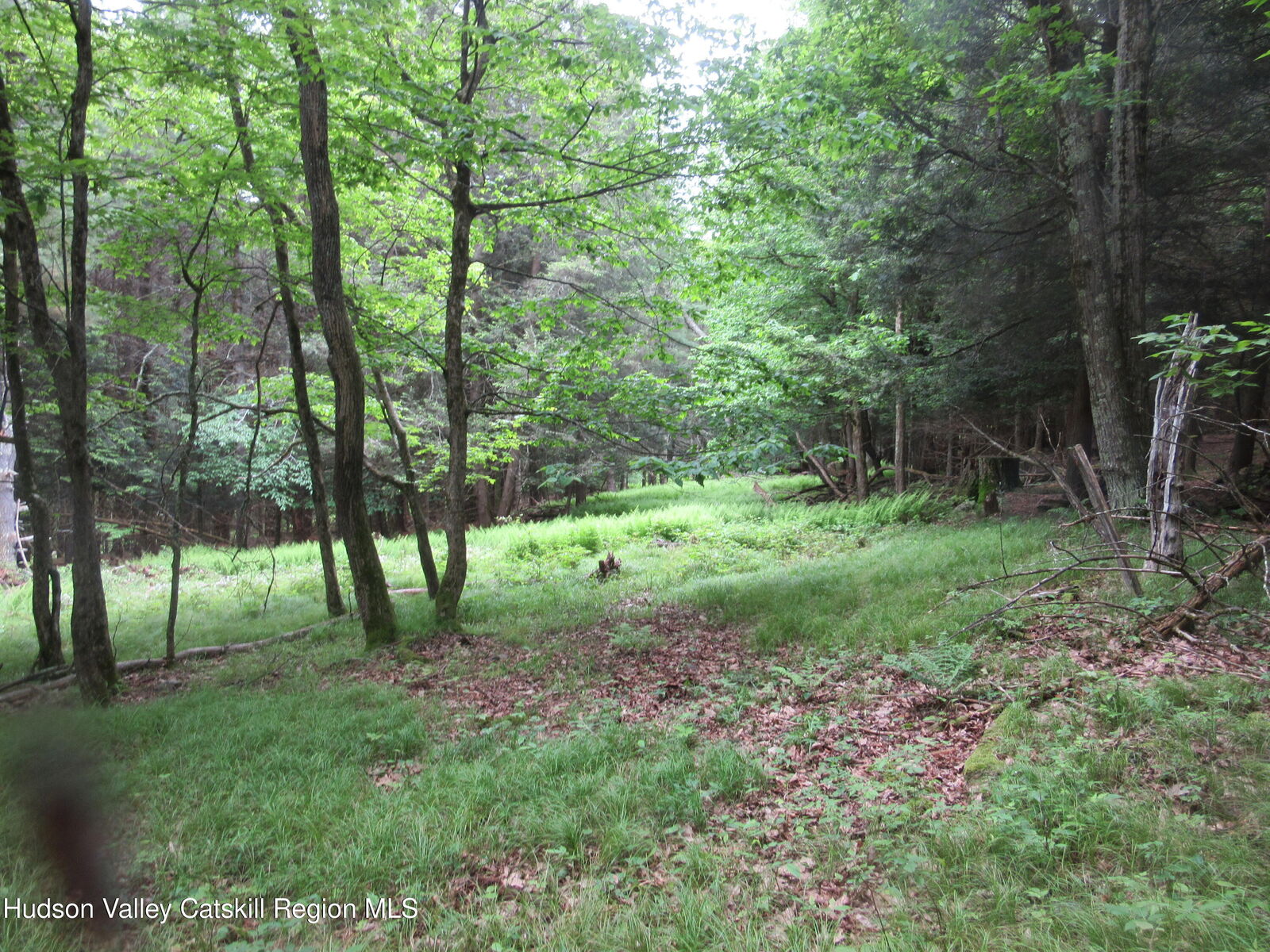 Property Photo:  0 Airport Rd, Lot #4  NY 12452 