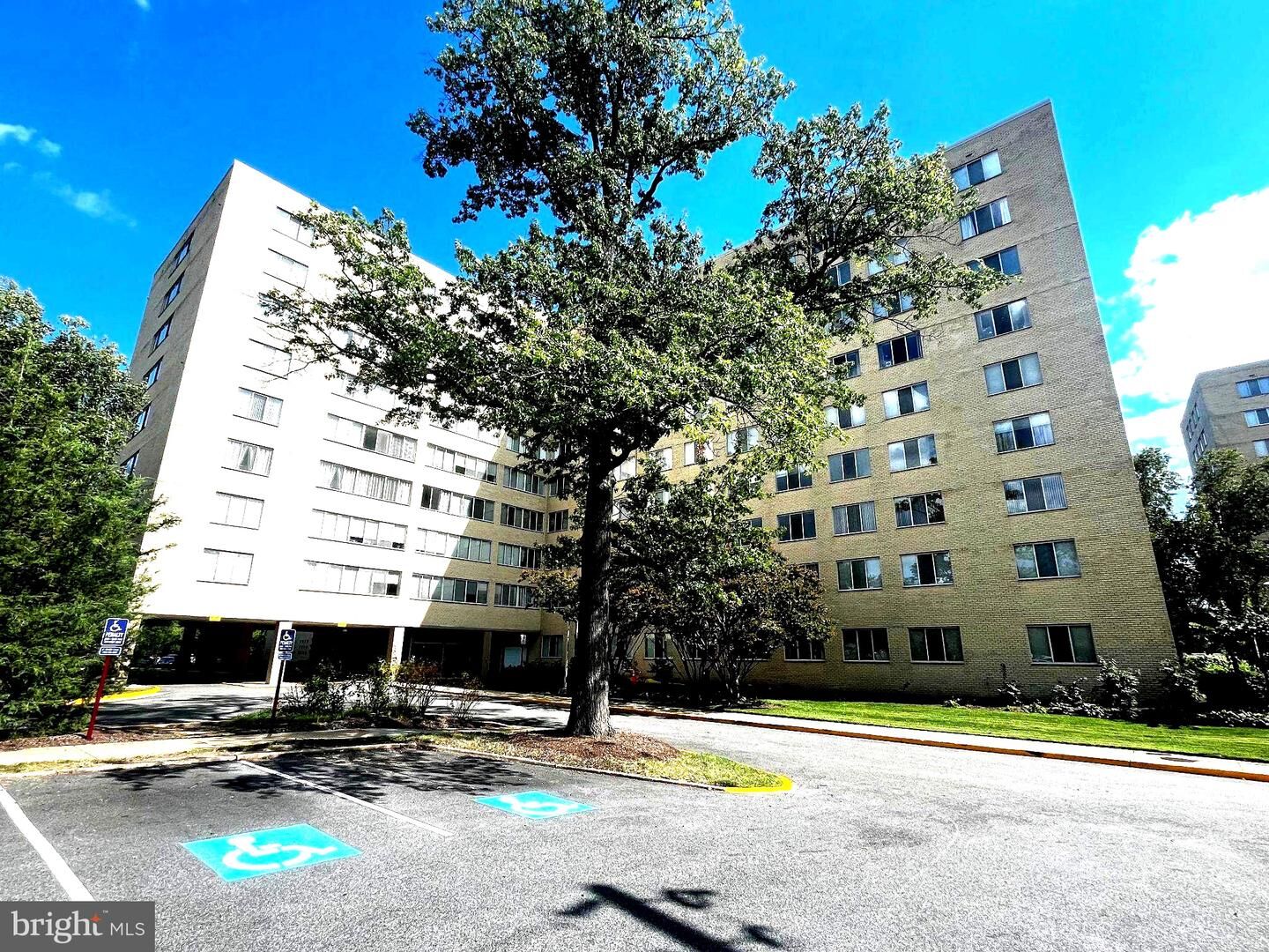 Property Photo:  6621 Wakefield Drive 419  VA 22307 