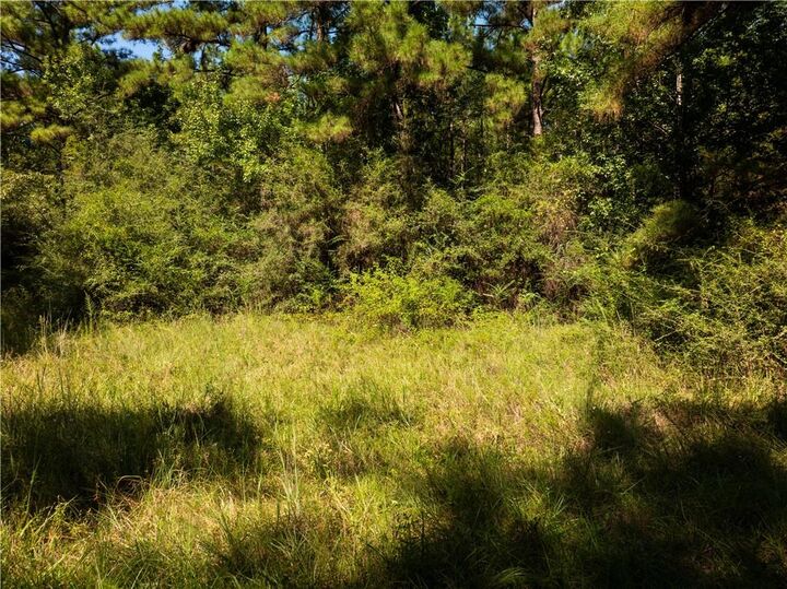 Property Photo:  1715 Lena Flatwoods Road  LA 71447 