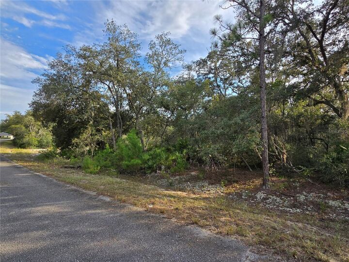 Property Photo:  Fisher Way  FL 32179 