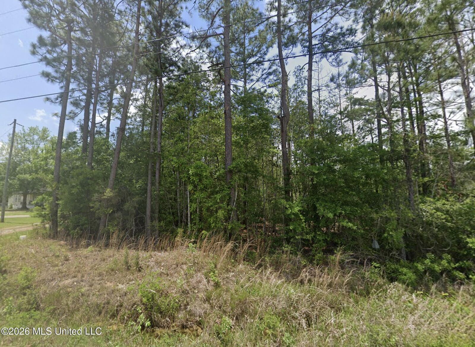 Property Photo:  Lake Road  MS 39561 