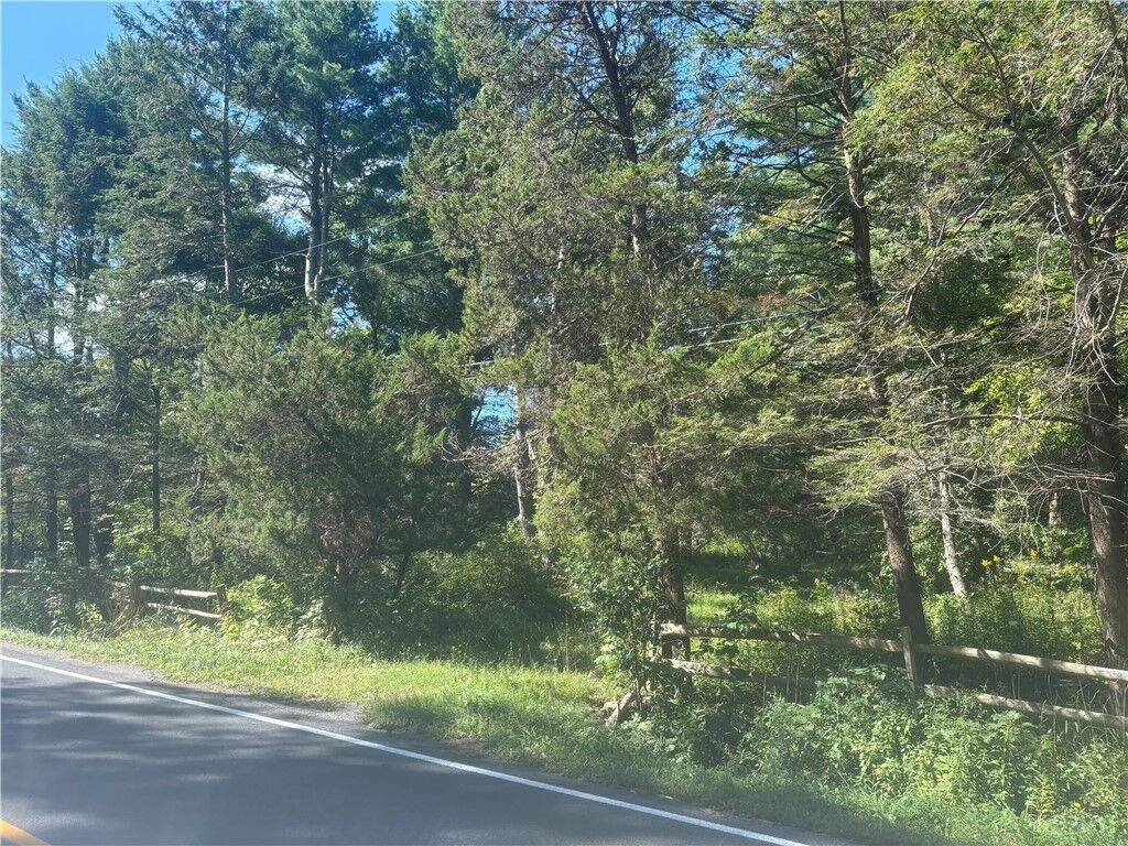 Property Photo:  520 Sheldon Road  NY 13068 