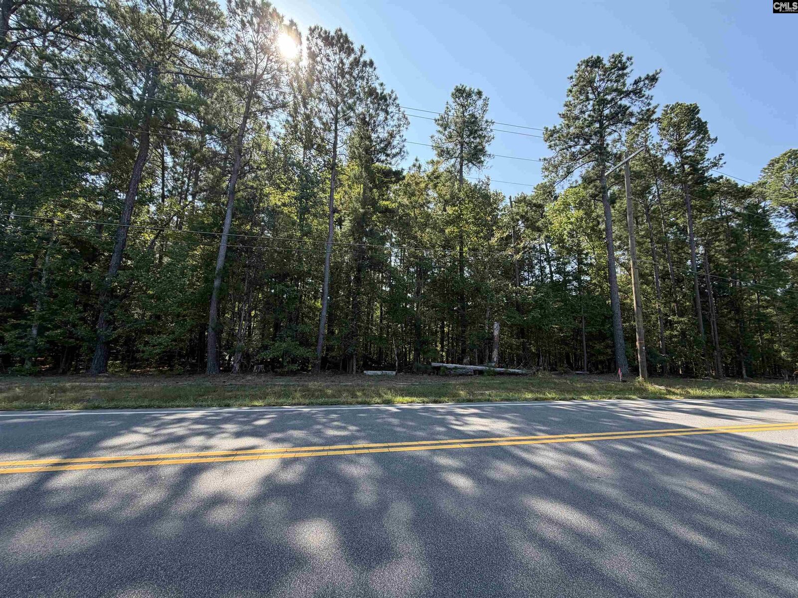 Property Photo:  379 Murray Lindler  SC 29036 