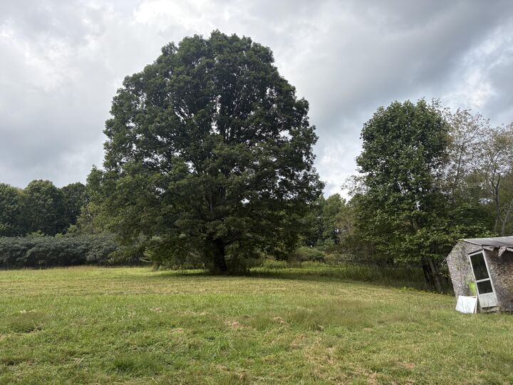 Property Photo:  644/653 Sugar Camp Road  WV 26205 