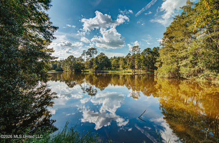 Property Photo:  60 Flurry Drive  MS 39573 