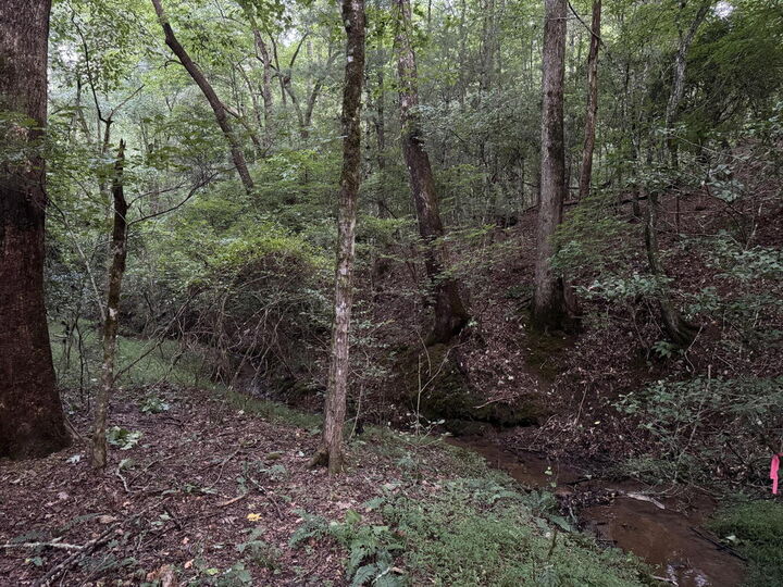 Property Photo: Lt35 Tr2 Scenic Drive NC 28904