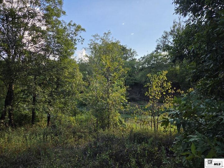 Property Photo: 0 Whitewood Road LA 71291