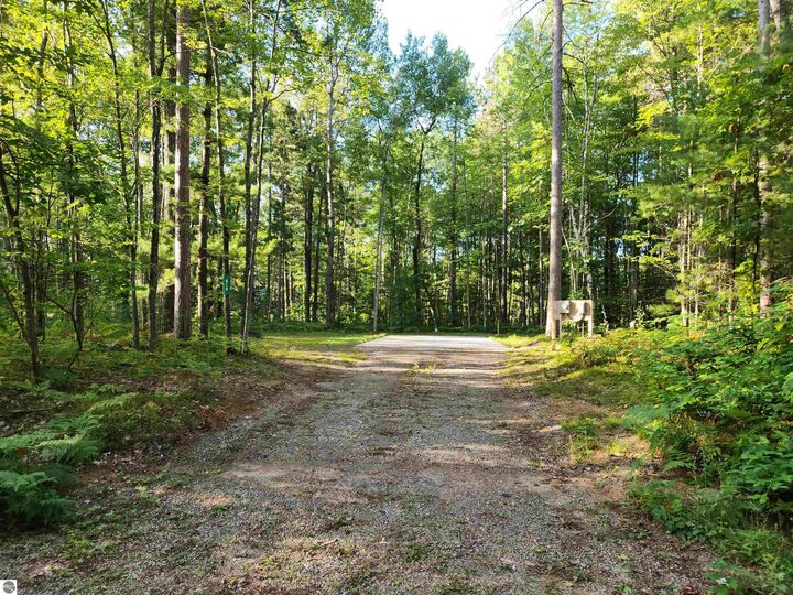 Property Photo: 910 Lewis Court MI 49646