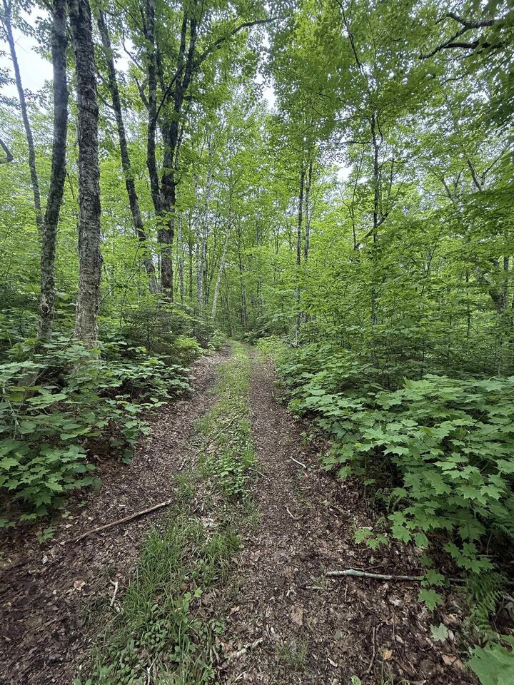 Property Photo:  Lot (Pid 20098885) Truro Road  NS B0K 1V0 