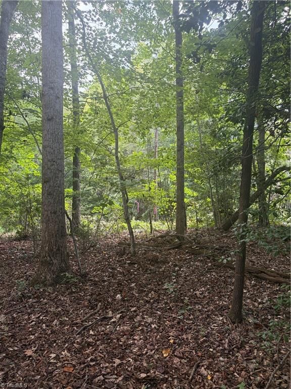 Property Photo:  Lot 3 Edgewood Road  NC 28697 