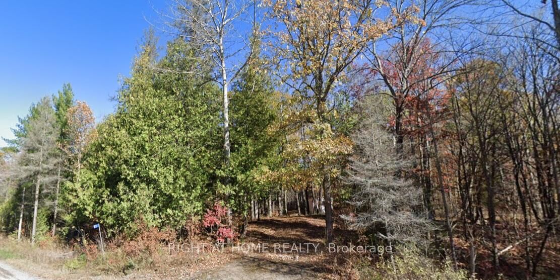 Property Photo:  93 McCleary Road  ON K0K 2M0 