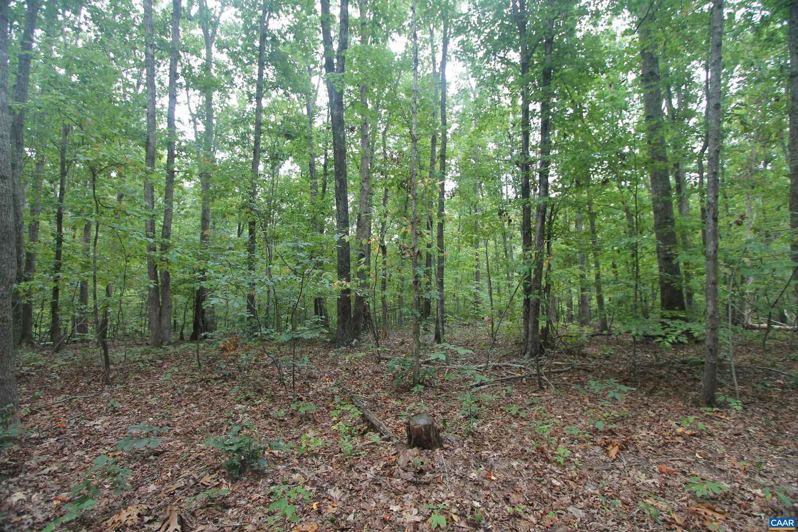 Property Photo:  845 Raccoon Ridge  VA 24590 