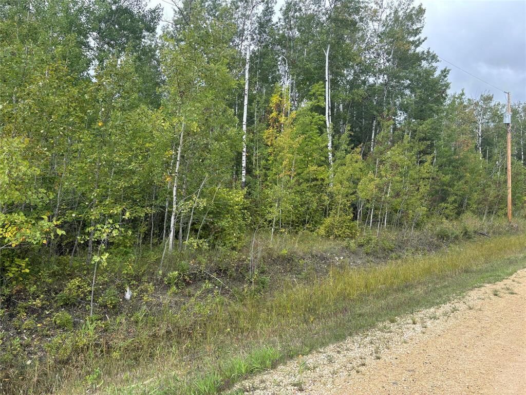 Property Photo:  85 Viking Trail  MB R0C 1B0 