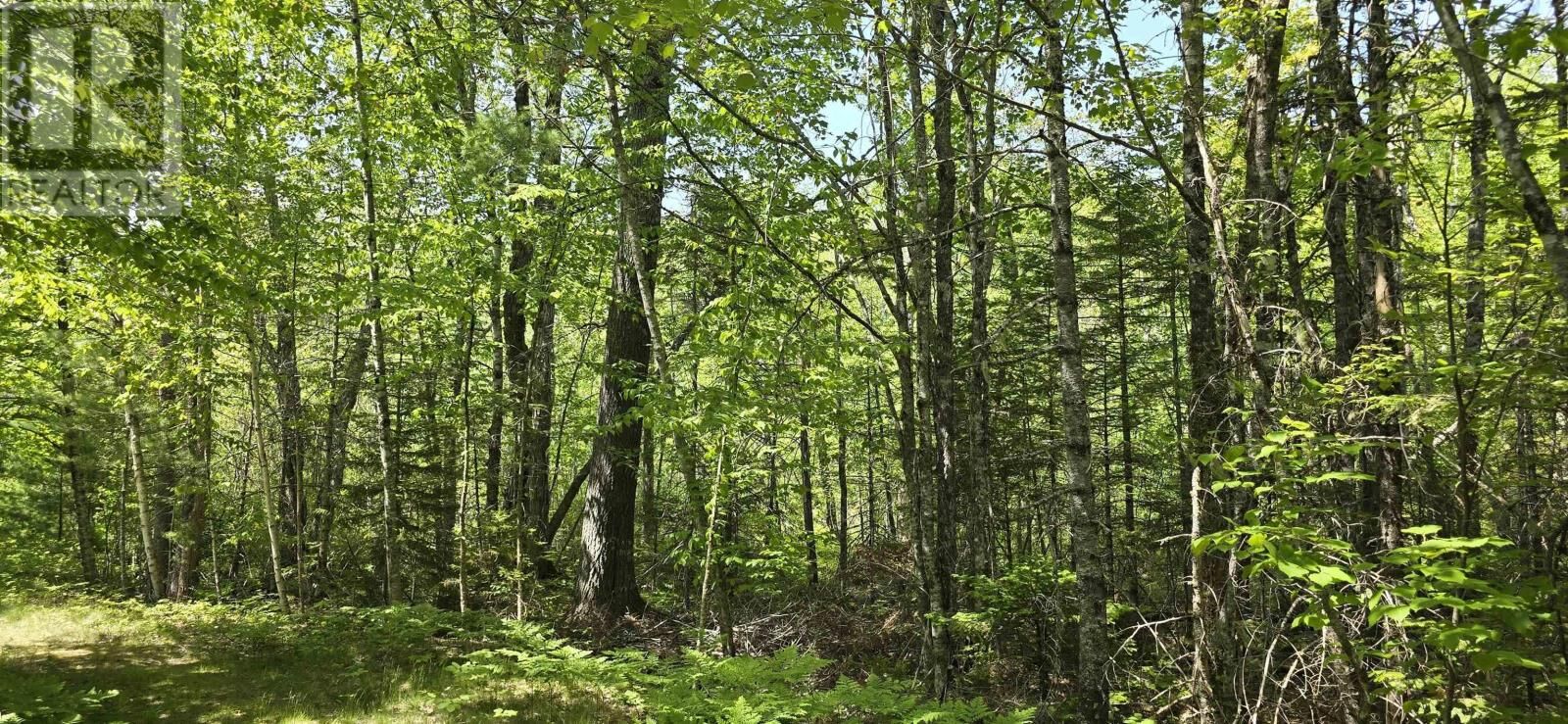Property Photo:  Lot 174A Spruce Drive  NS B0R 1E0 