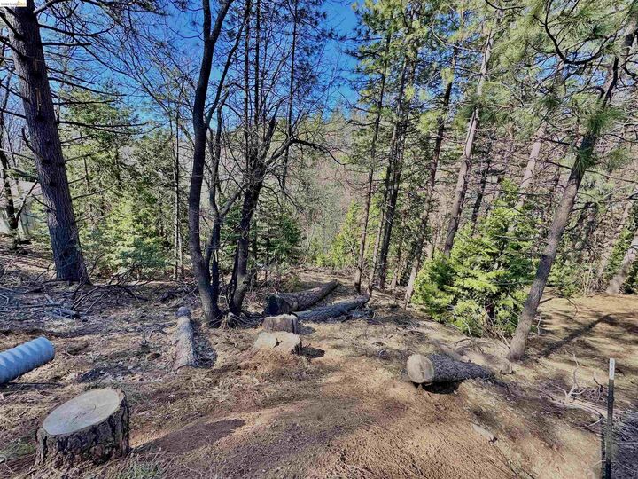 Property Photo: 23956 Stable Rd CA 95370
