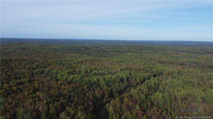 Property Photo:  Lot Donnelly Settlement Road  NB E6K 3N3 