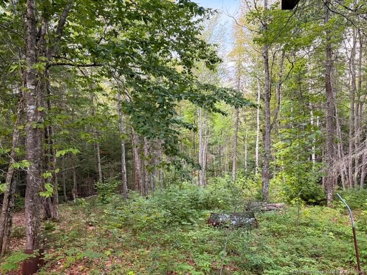 Property Photo:  Steeves Lot Green Road  NB E4T 1T6 