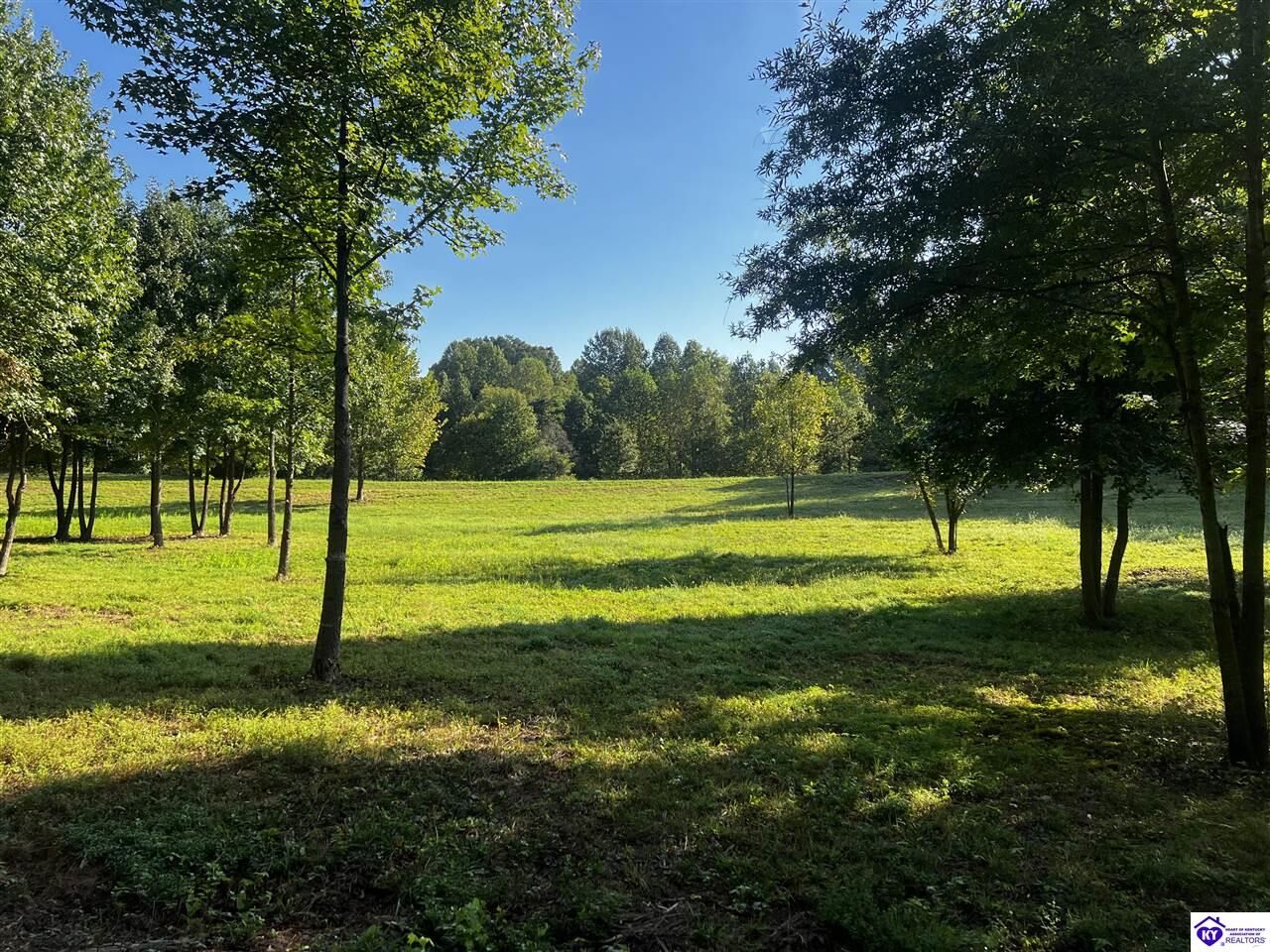Property Photo:  0 Jewell Flowers Road  KY 42717 
