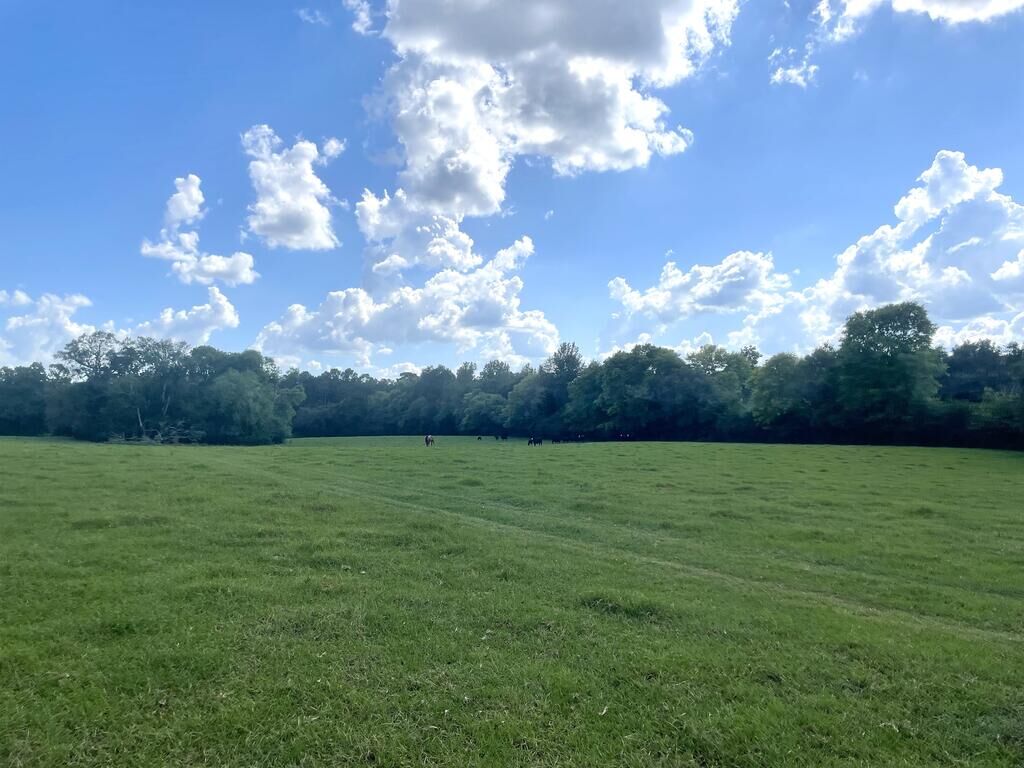 Property Photo:  1135 Cr 419  TX 75961 