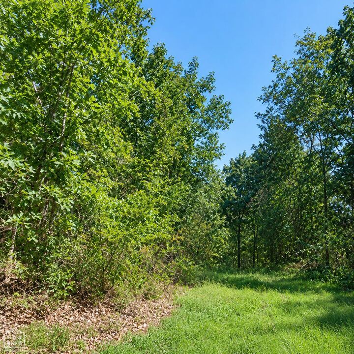 Property Photo: 21 Cooper Point AR 72560