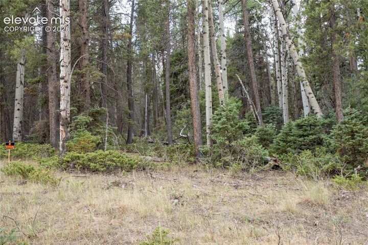 Property Photo:  Lot 2915 Henderson Drive  CO 81133 