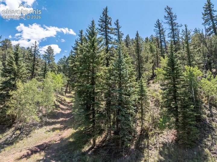 Property Photo:  1676 Pathfinder Road  CO 80816 