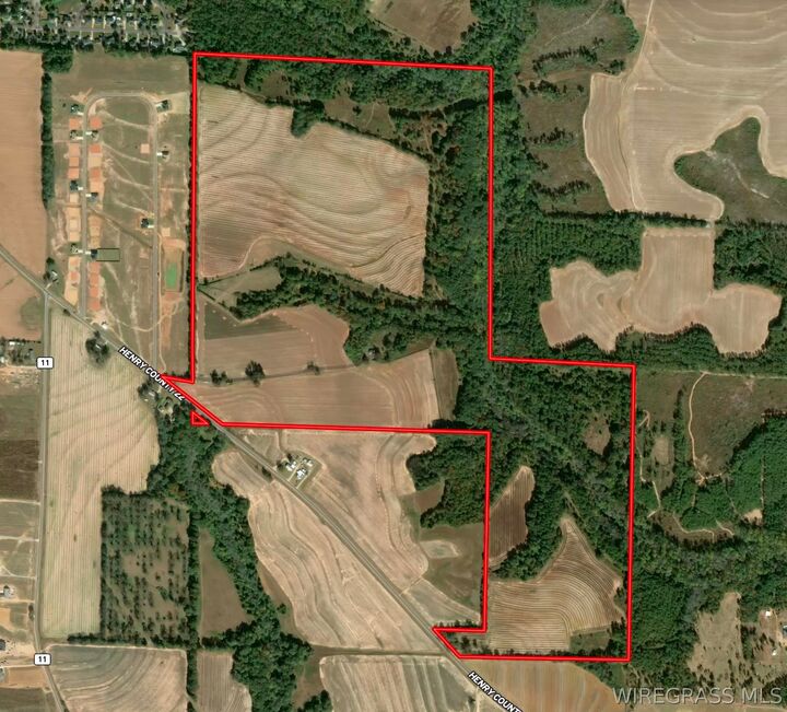 Property Photo:  282 Acres County Road 22  AL 36345 